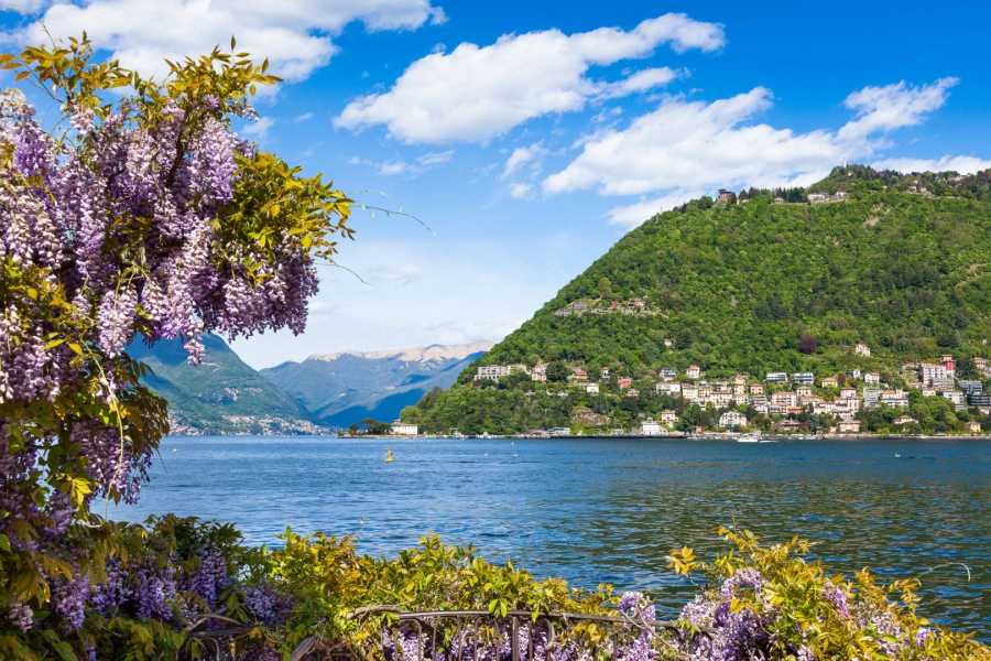 Jezero Como
